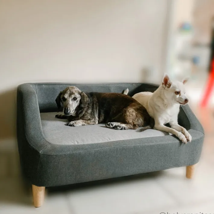 Teamson Pets 15.51" Bennett Linen Sofa Dog Bed for Small and Medium Dogs, Gray- FINAL SALE
